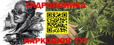 стафф Аргун